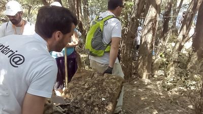 Voluntarios de Torrejón limpiarán el sábado los márgenes municipales del río Henares