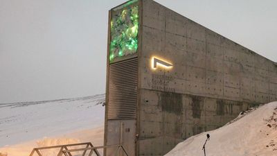 España depositará más de mil variedades de semillas en la ‘Bóveda del fin del mundo’