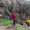Voluntarios de Torrejón retiran más de 500 kilos de basura de las riberas del río Henares