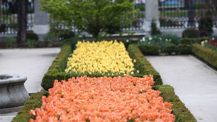 Primavera en el Real Jardín Botánico de Madrid / EUROPA PRESS