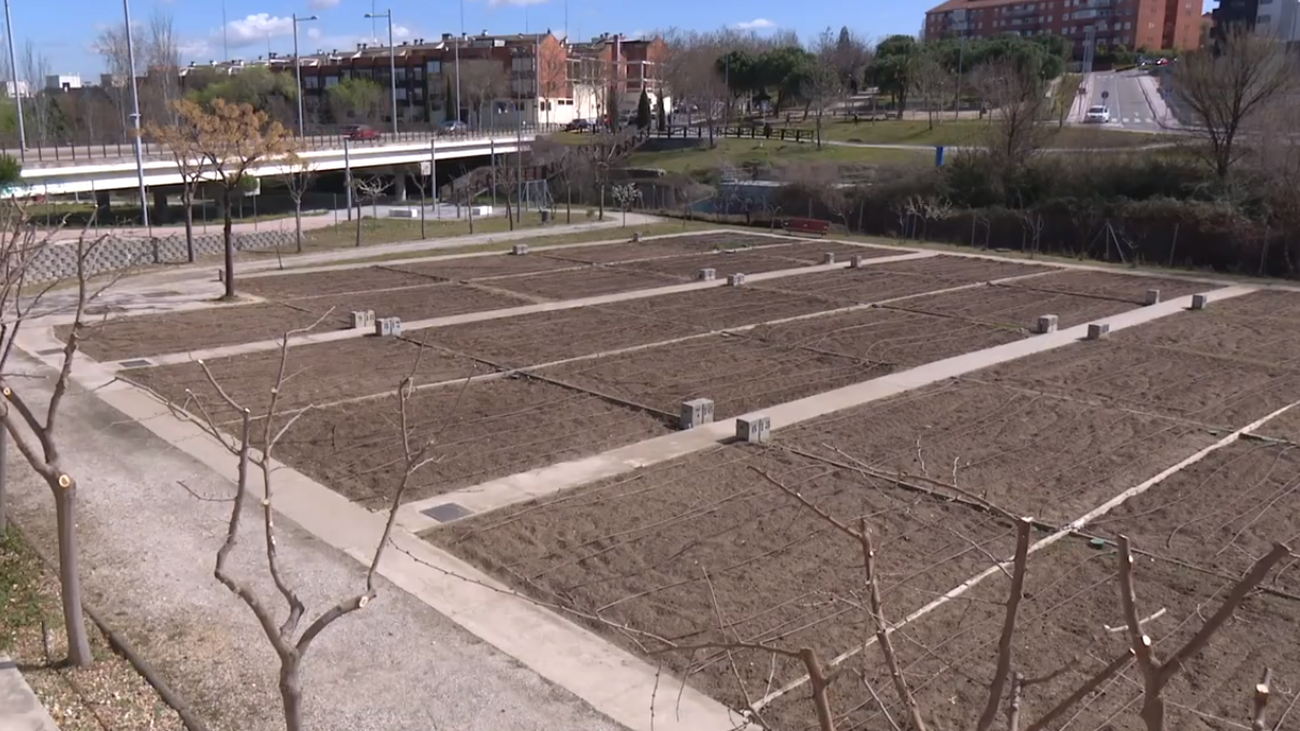 Se buscan jóvenes agricultores para los huertos ecológicos de Sanse