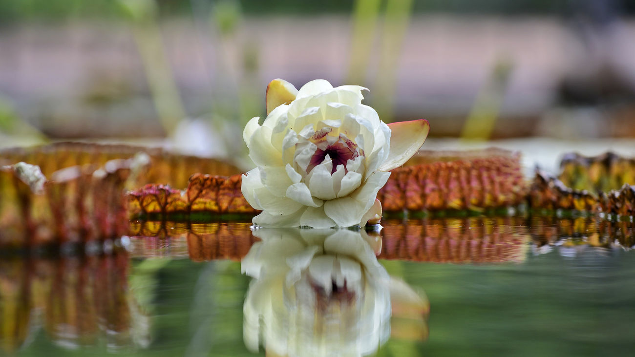 Planes para una Semana Santa diferente en Madrid
