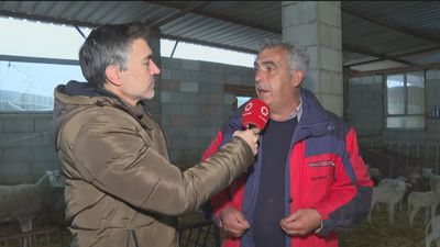 Los ganaderos dicen "basta" y calientan la manifestación del próximo domingo en Madrid