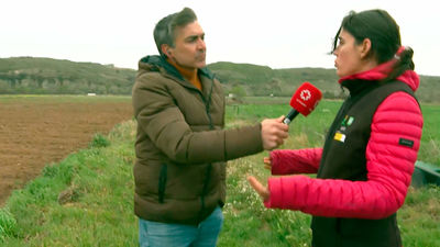 Los beneficios de la calima que asola España: un importante fertilizante para el campo