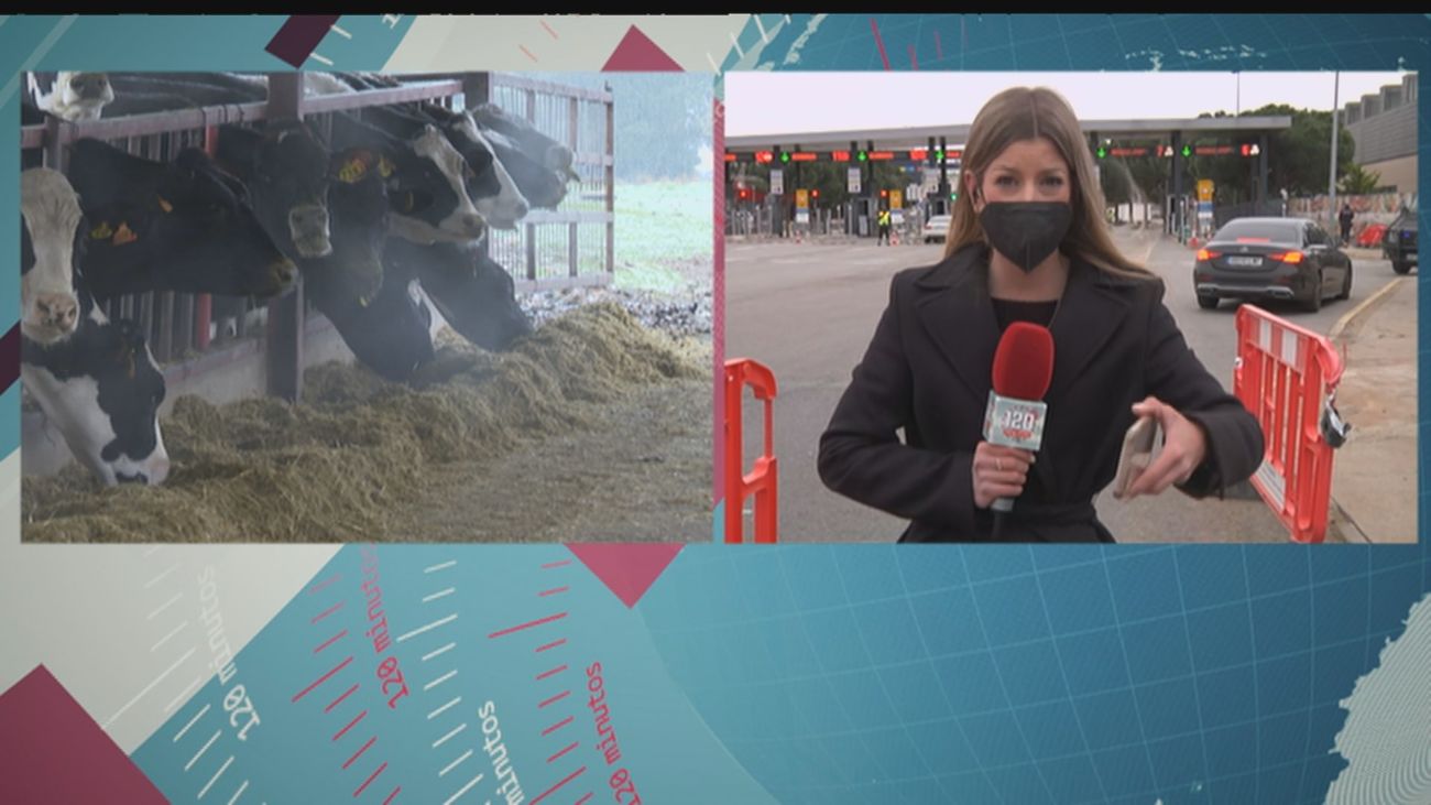 120 minutos 17.03.2022 (Parte 1)