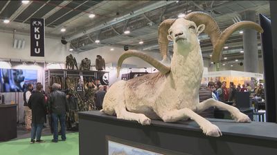 Arranca Cinegética 2022, la mayor feria anual de la caza