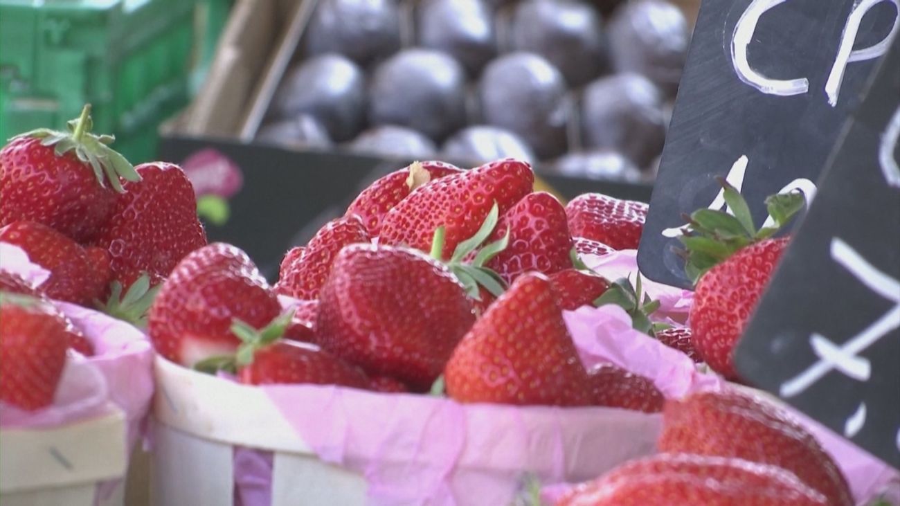 Los freseros de Huelva, al límite por la huelga de transporte