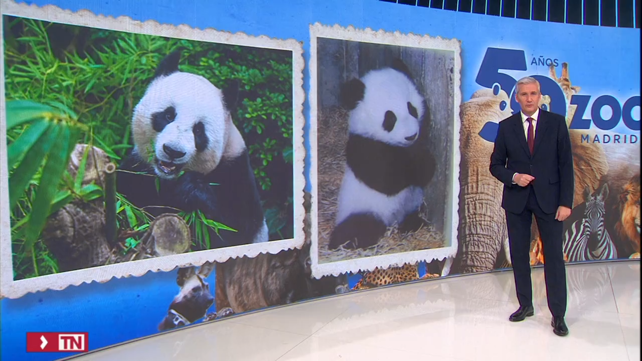 El Zoo de Madrid cumple 50 años y lo celebra de una forma muy especial