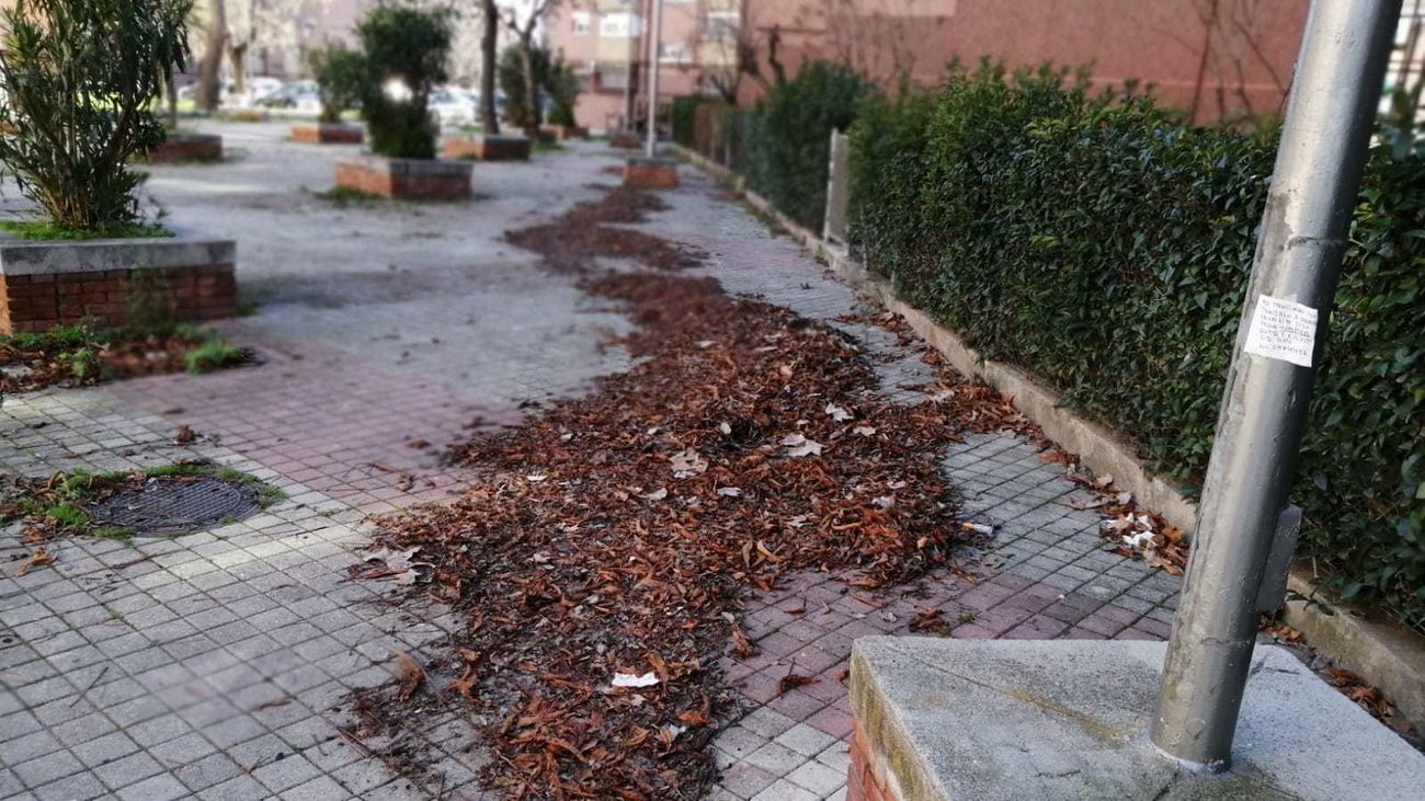 Acumulación de restos vegetales y basura en una zona interbloque de la capital
