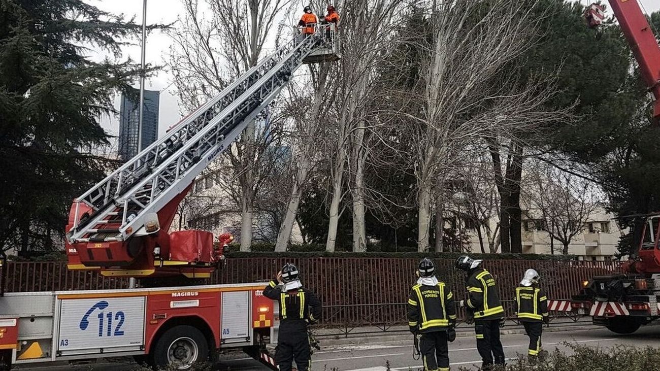 Bomberos de Madrid