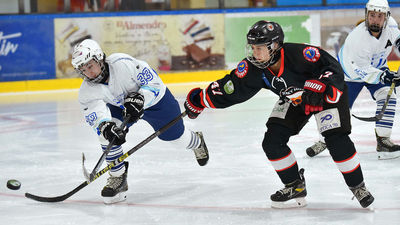 Hockey Majadahonda, subcampeón de la liga femenina