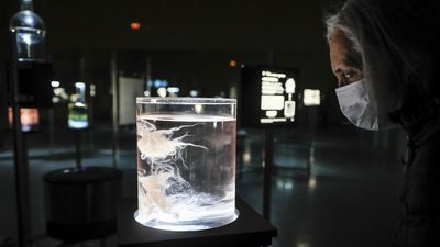 La exposición "Máquina Mística" abre la segunda edición de Canal Connect