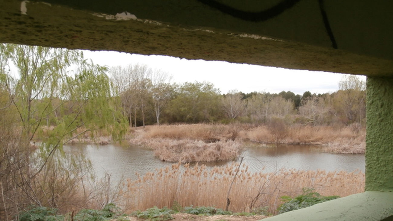 Vista de las lagunas desde el interior de uno de los puestos de observación de aves