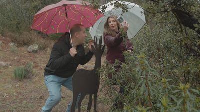 Nos vamos a San Lorenzo de El Escorial de cacería... ¡Fotográfica!