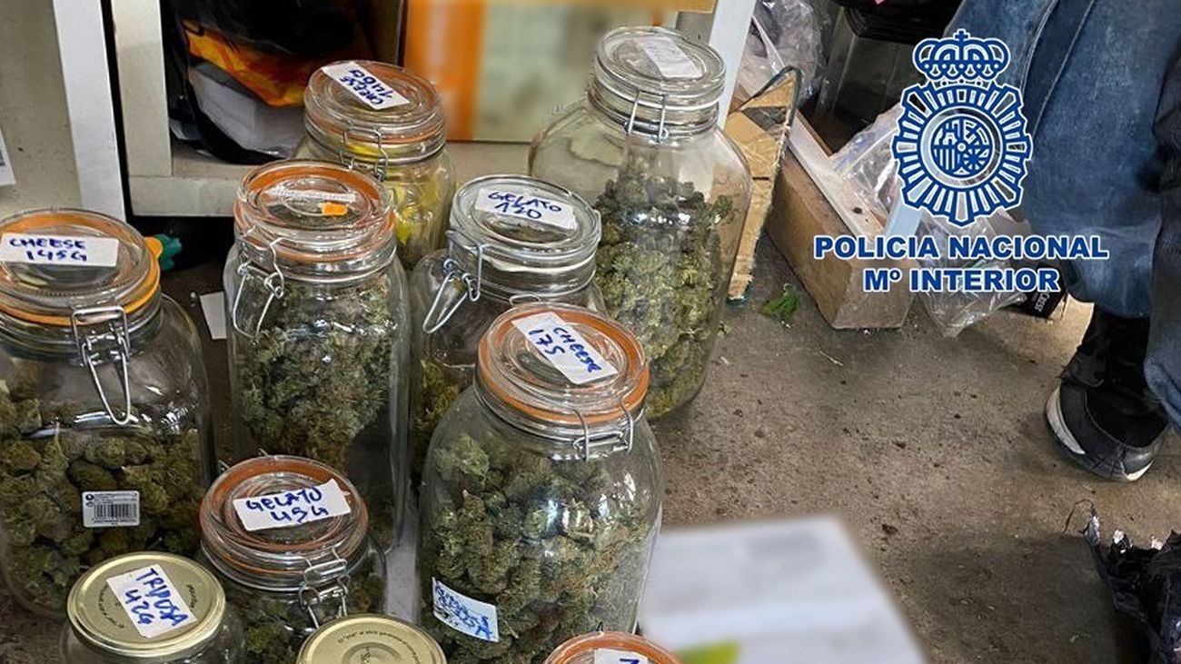 Algunas de las sustancias interceptadas por la policía