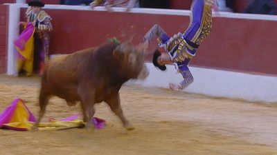 Cogida sobrecogedora en Alalpardo, sin consecuencias para David Galván