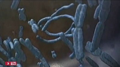 El Gregorio Marañón, primer hospital público capaz de secuenciar el genoma humano completo