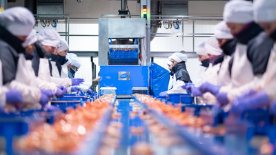 La falta de aceite de girasol deja a las conserveras desabastecidas