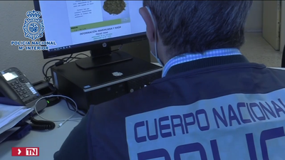 Cae en Madrid, Ciempozuelos, Leganés y Getafe una red dedicada a la venta de droga por páginas web