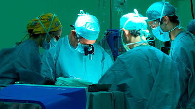 Madrid, la única región que mantiene activos todos los tipos de trasplantes