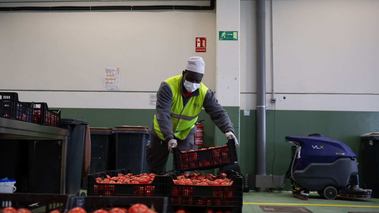 Nace en Mercabarna un centro pionero en España que busca evitar que se tire comida a la basura