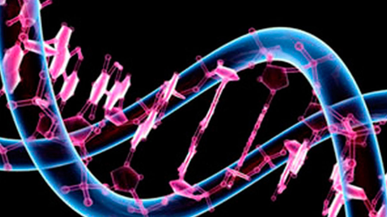 Los investigadores han conseguido una secuencia completa, sin huecos, de los aproximadamente 3.000 millones de bases (o "letras") de nuestro ADN