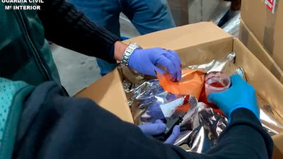 Cae un grupo criminal que vendía extracto de gardenia como si fuera azafrán