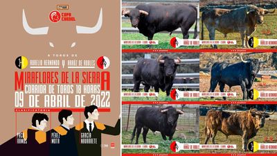 Tercera corrida clasificatoria de la Copa Chenel