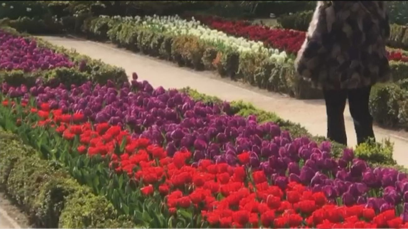 Un espectáculo de color que no te puedes perder estos días en Madrid