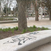 Grafitis hasta en los árboles en la renovada Plaza de España