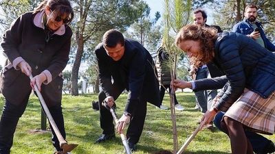 Pozuelo plantará un árbol por cada bebé que nazca para compensar los estragos de 'Filomena'
