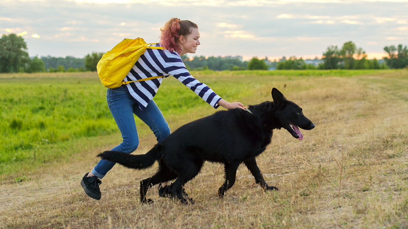 ‘House sitting’: cómo alojarte gratis en el extranjero mientras cuidas mascotas