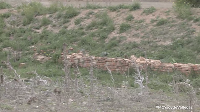 Nos vamos de excursión por las canteras de yeso de Vallecas