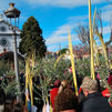 La Semana Santa de Parla arranca con las tradicionales procesiones de Ramos y el Traslado de Pasos