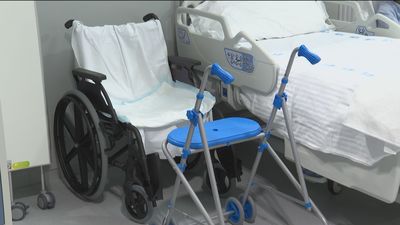 España tiene casi el 7% de su población con un grado de discapacidad igual o superior al 33%