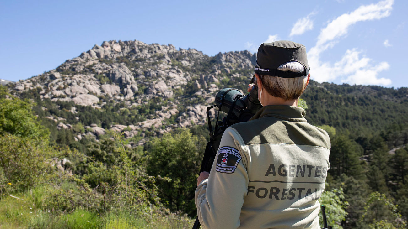 Un agente forestal observa por una cámara durante una visita a La Pedriza