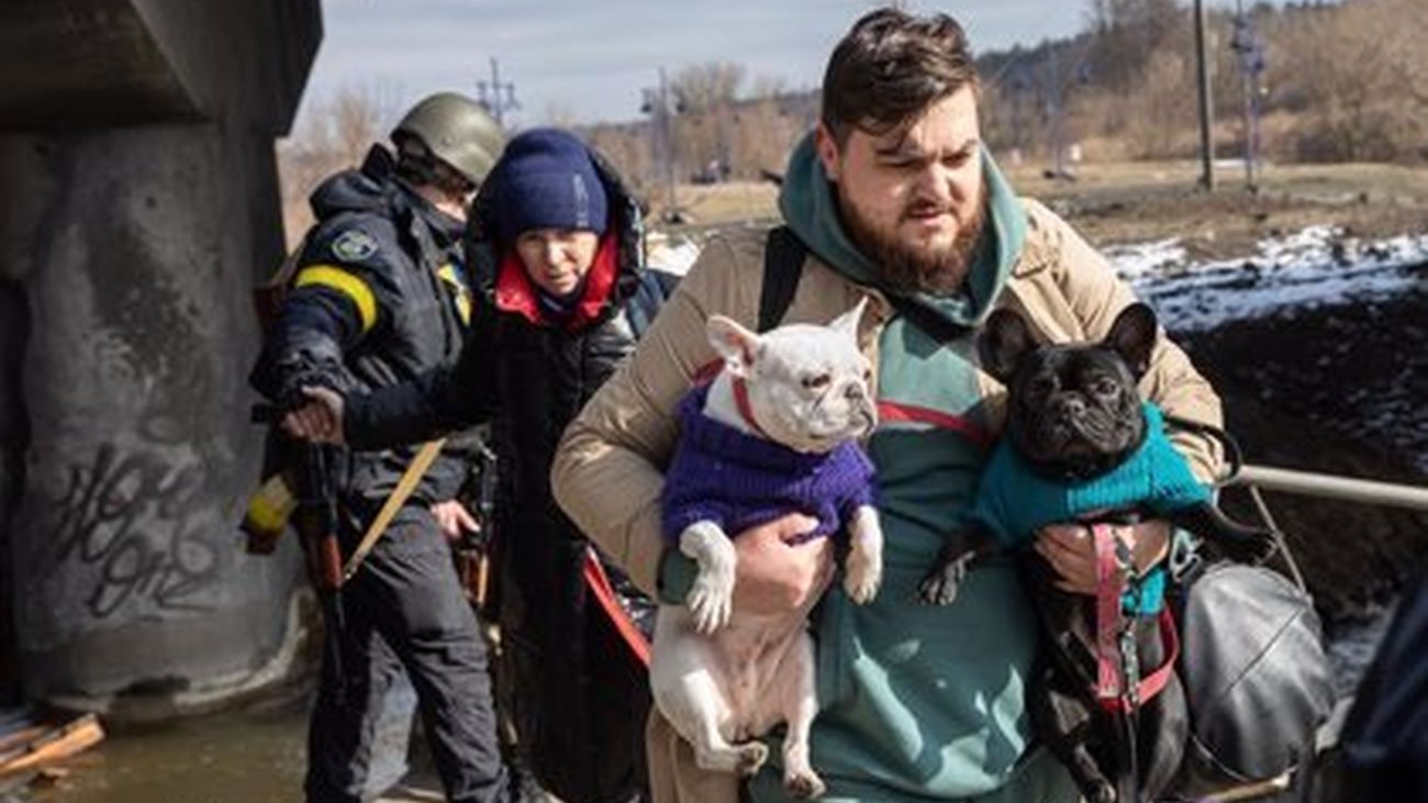 Civil ucraniano huye de la guerra con dos perros en brazos