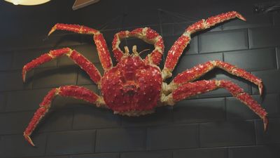 Aprendemos a comer cangrejo como un profesional