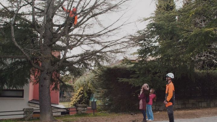 ¡El Tarzán de Navacerrada!