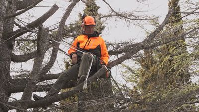 ¡El Tarzán de Navacerrada!