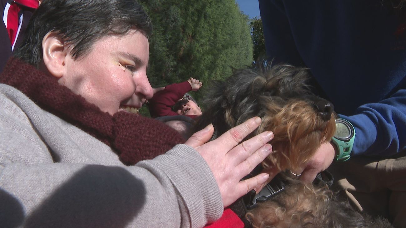 Terapeutas de cuatro patas en la Comunidad de Madrid