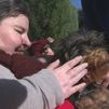Terapeutas de cuatro patas en la Comunidad de Madrid