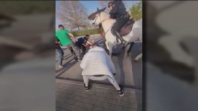 Un hombre agrede a un policía y a su caballo en el festival Elrow Town