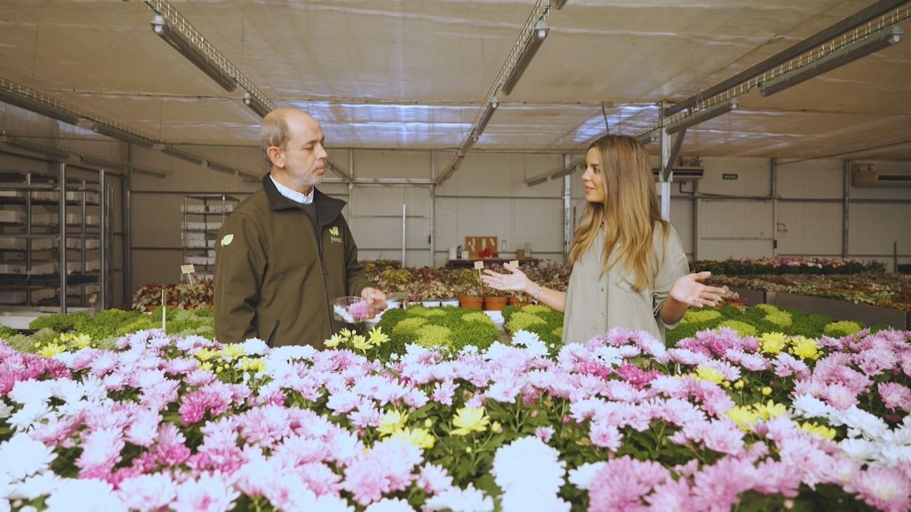 Nos vamos a catar flores comestibles en Brunete