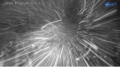 La nieve hace necesarias las cadenas en Madrid para circular por los puertos de Navacerrada y Cotos