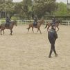 Así cuidan y entrenan a los caballos en la Unidad Especial de Caballería de Policía Nacional
