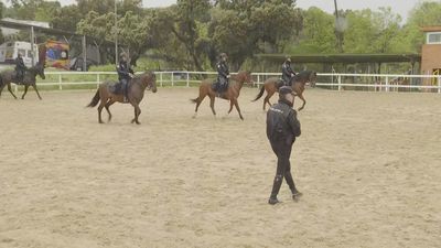 Así cuidan y entrenan a los caballos en la Unidad Especial de Caballería de Policía Nacional