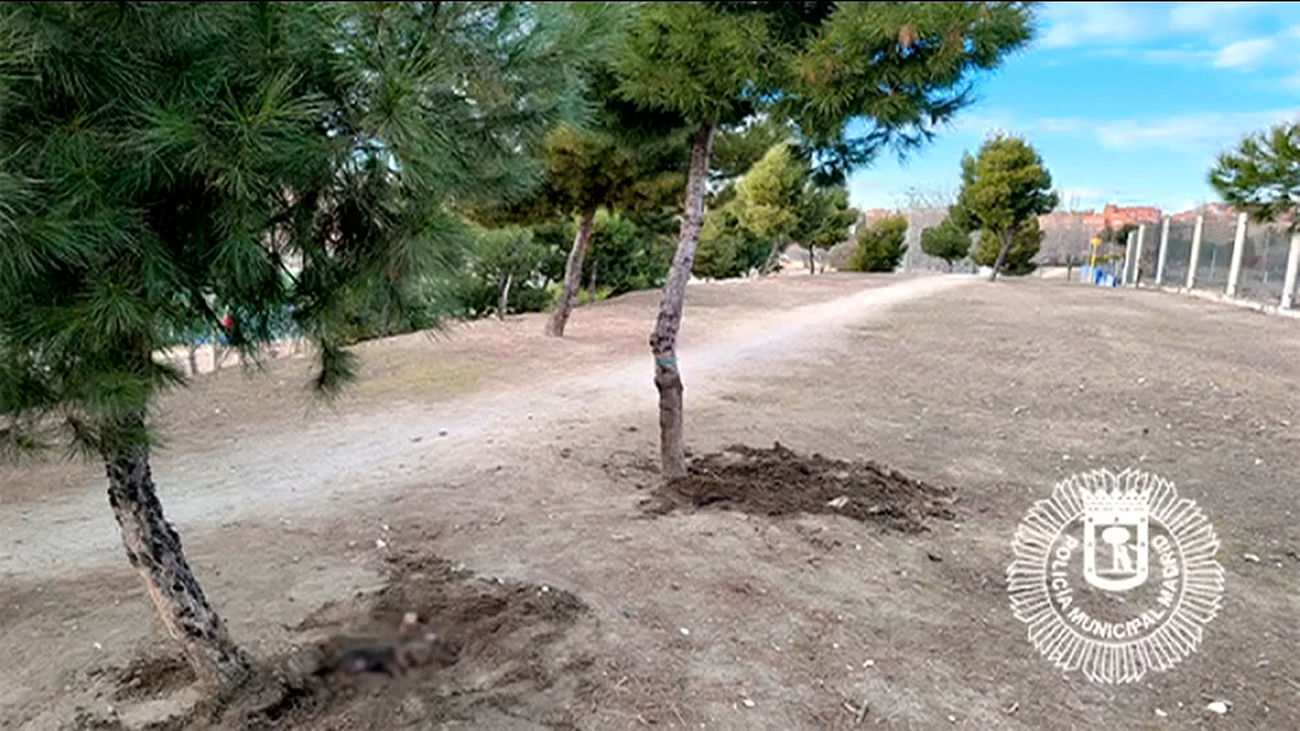 Hallan un cementerio ilegal de perros en el parque forestal de Entrevías