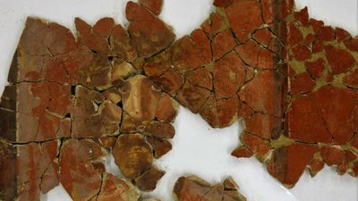 Hallan nuevas pinturas de gran valor en la restauración de la Casa de los Grifos de Complutum