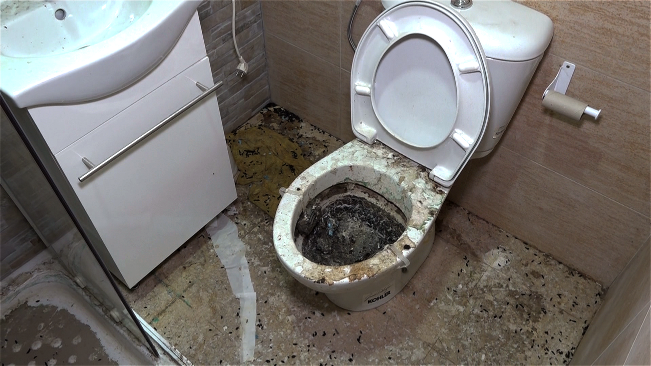 Suciedad, humedades, aguas fecales, ratas y cucarachas muertas inundan un edificio de Parla